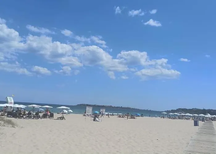 Gerber 2 Slăntjev Brjag