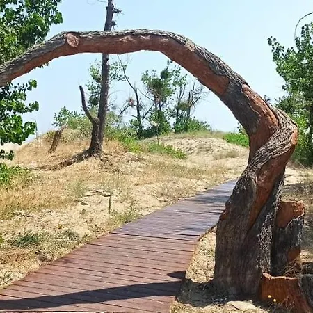 Gerber 2 Apartament Sunny Beach